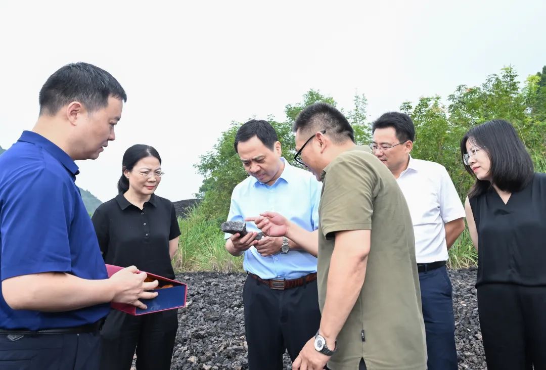 嚴允專題調研文化遺產保護傳承工作